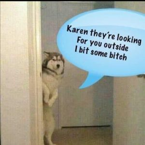 Meet your Posher, Ana